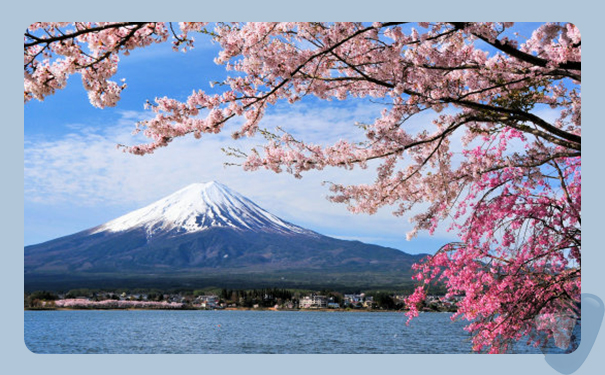 深圳到日本(Japan)港口<a href='http://www.lichengfeng.com.cn/haiyun/' target='_blank'><u>海運</u></a>需要多長時間?太捷國際價格實惠