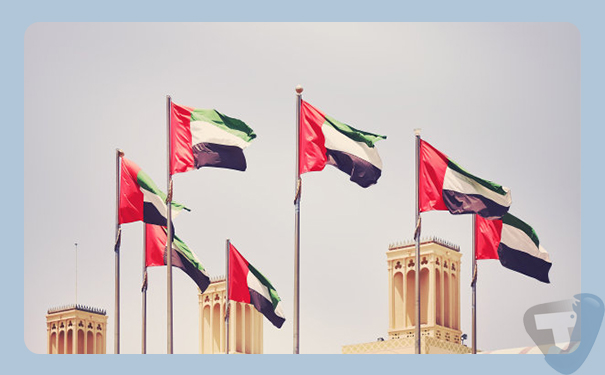 深圳到阿聯酋(unitedArabemirates)港口<a href='http://www.lichengfeng.com.cn/haiyun/' target='_blank'><u>海運</u></a>需要多長時間?國際貨運價格實惠