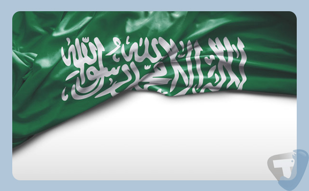 深圳到沙特阿拉伯(SaudiArabia)港口<a href='http://www.lichengfeng.com.cn/haiyun/' target='_blank'><u>海運(yùn)</u></a>需要多長時間?國際貨運(yùn)低價促銷