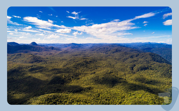 深圳到荷屬安的列斯(NetherlandsAntilles)港口海運需要多長時間?深圳太捷可