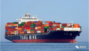 最新！THE聯盟、中遠、達飛集團宣布1月航線調整及新停航計劃