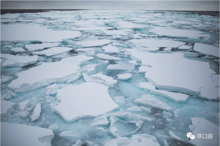 海冰厚達1米，港口封航24.5小時，這波寒潮來勢洶洶！