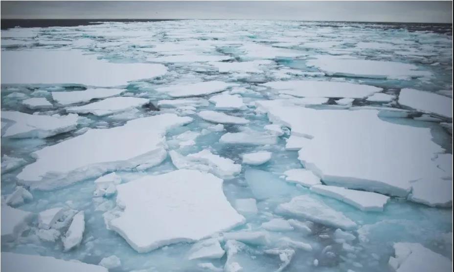 注意!渤海海冰厚達1米港口封航24小時;暴風雪橫掃西班牙交通癱瘓!