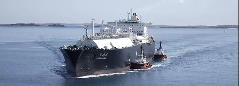 德路里看航運市場