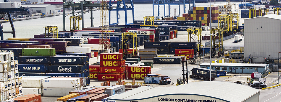 德路里看航運市場