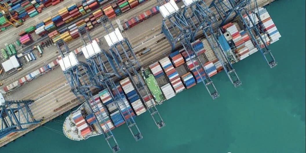 6條新航線在鹽田港投入運行!