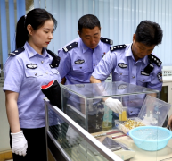 虛假出口智能產(chǎn)品騙取退稅1012.87萬(wàn)，12名涉案人員被依法起訴！