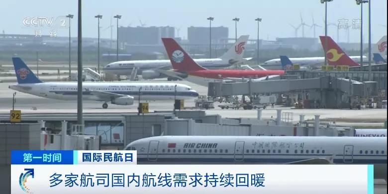 又遭重創(chuàng)！全球41個(gè)國(guó)家和地區(qū)已出手！這個(gè)行業(yè)，何去何從？