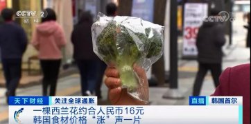 “漲”聲一片！一棵西蘭花賣到16元？