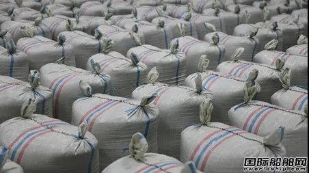 罕見！散貨船運輸咖啡豆！集裝箱船短缺已經沒轍了