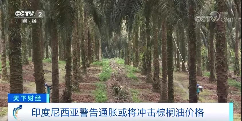 暴漲超65%！多國已出手！