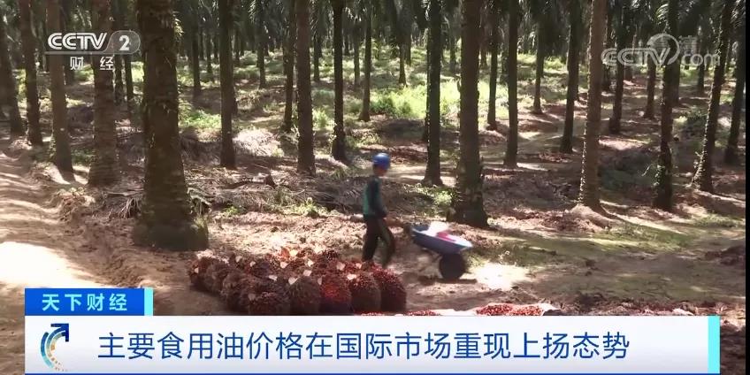 暴漲超65%！多國已出手！