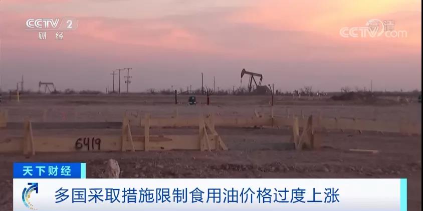 暴漲超65%！多國已出手！