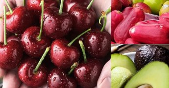 去墨西哥、智利、阿根廷等南美國家的干凍柜運費只要8千多美金！什么