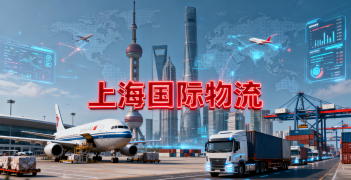 <b><font color='#0033CC'>上海國際物流海運(yùn)平臺如何選擇？哪家服務(wù)更專業(yè)可靠</font></b>