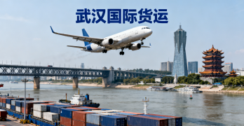 <font color='#0033CC'>武漢國際貨運哪家靠譜？流程、報價與注意事項詳解</font>