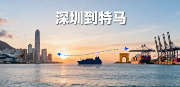 深圳到特馬怎么運輸更劃算？海運和空運如何選擇？